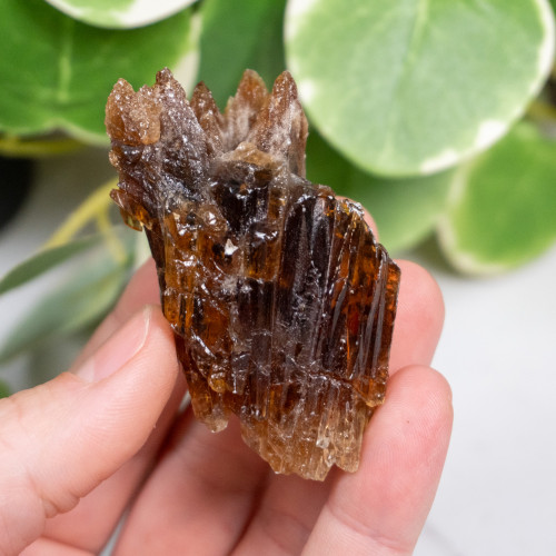 Amber Calcite #5