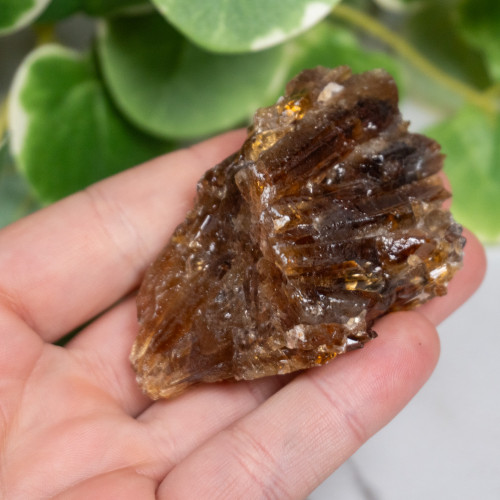 Amber Calcite #3