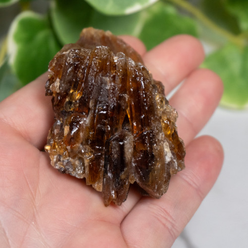 Amber Calcite #3
