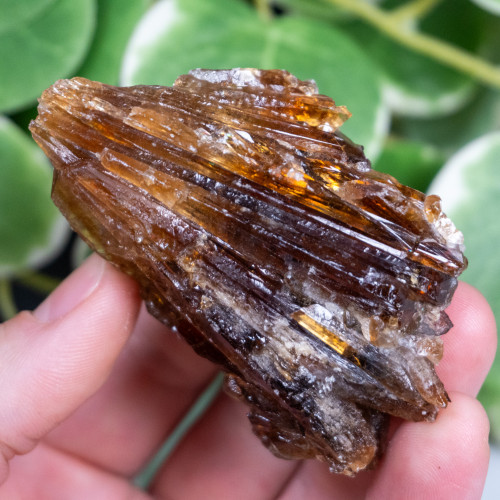 Amber Calcite #3