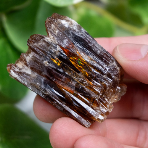 Amber Calcite #2