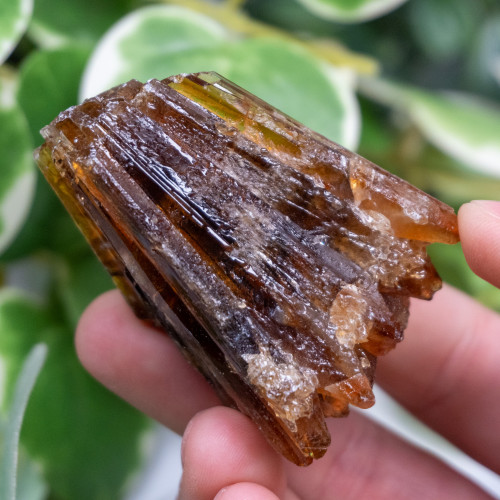 Amber Calcite #1
