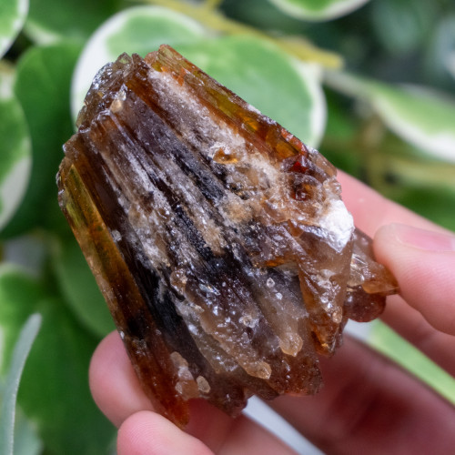 Amber Calcite #1