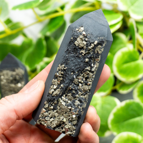 Pyrite on Shungite Tower