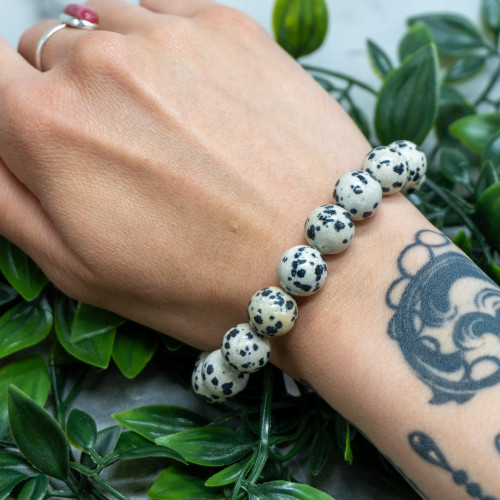 Dalmatian Jasper Bracelet 12mm