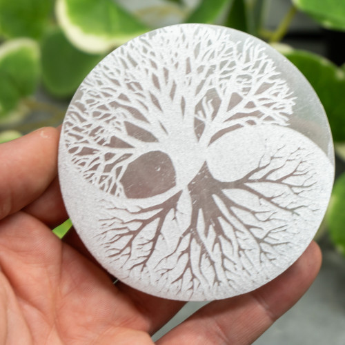Selenite Tree of Life Circle Plate