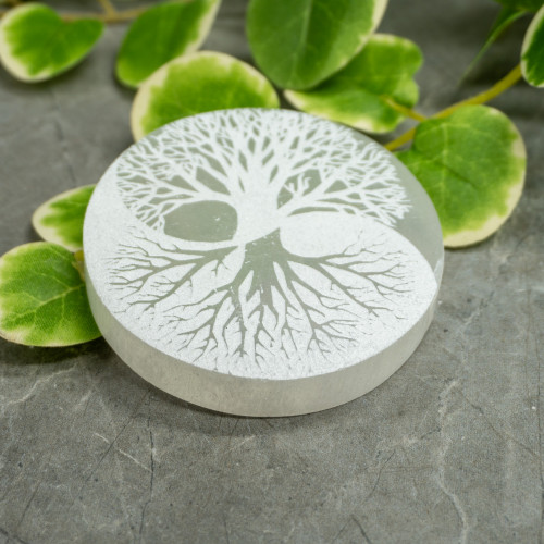 Selenite Tree of Life Circle Plate
