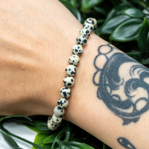 Dalmatian Jasper Bracelet 6mm