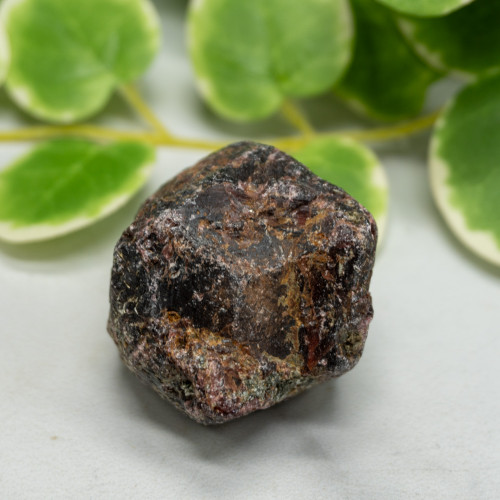 Raw Garnet Large