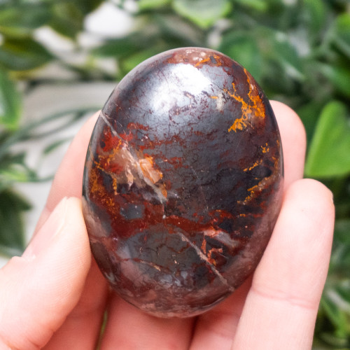 Jaspillite Palmstone #4