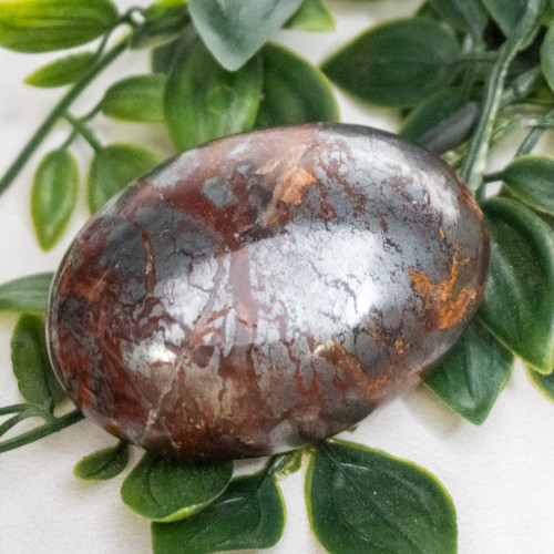 Jaspillite Palmstone #4