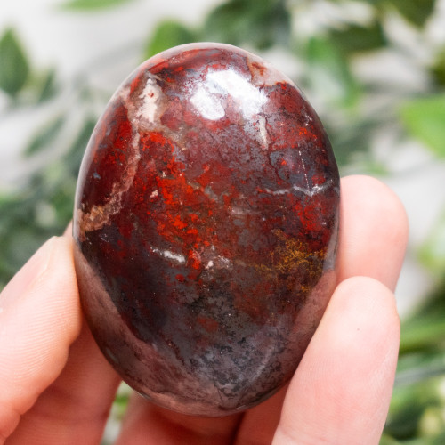 Jaspillite Palmstone #3