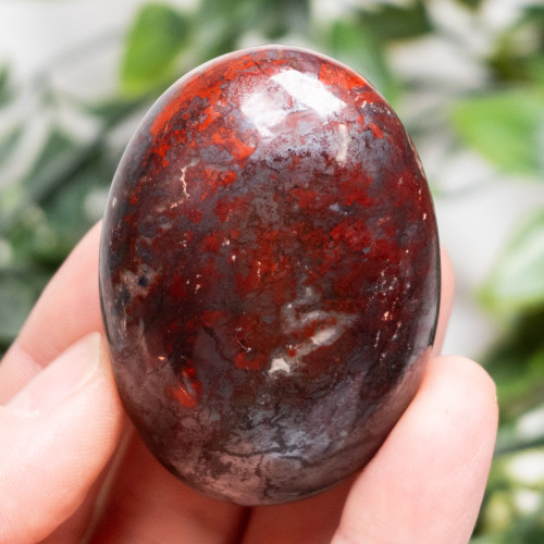 Jaspillite Palmstone #3
