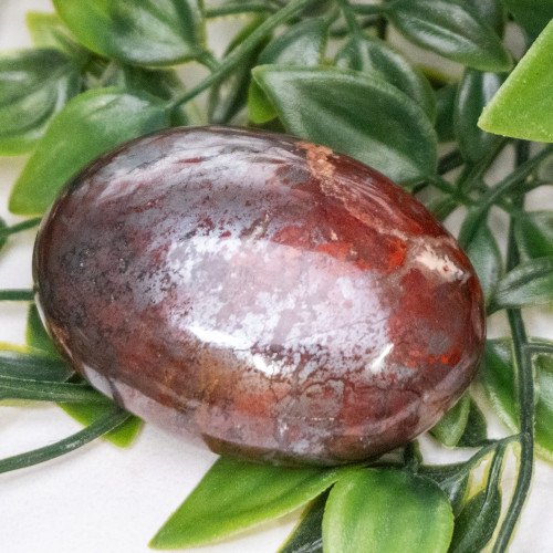 Jaspillite Palmstone #3