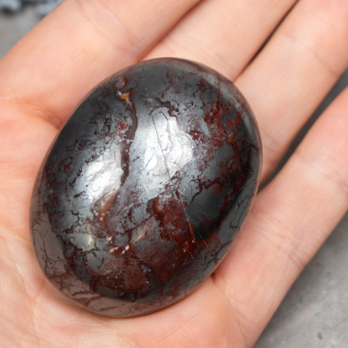 Jaspillite Palmstone #1