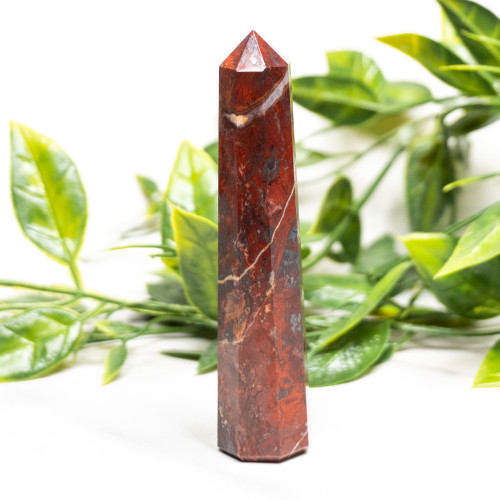 Jaspillite Tower #4