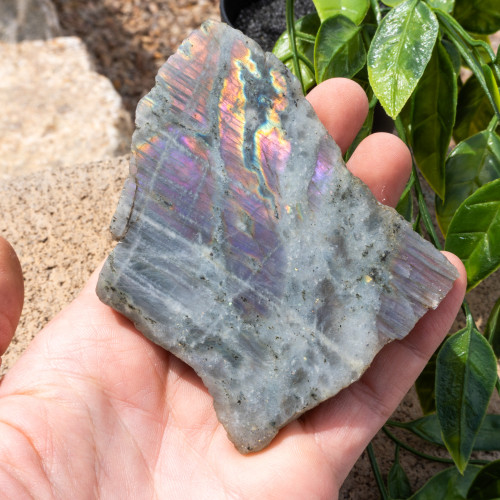 Purple Labradorite Half Polished #13