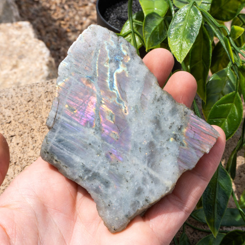 Purple Labradorite Half Polished #13