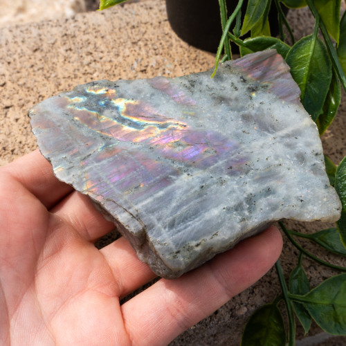 Purple Labradorite Half Polished #13