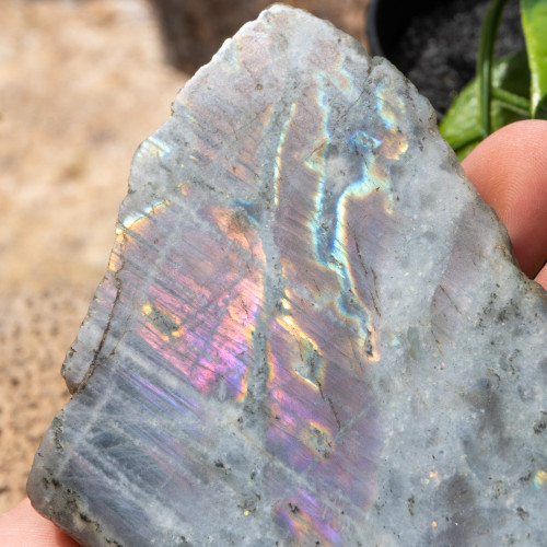 Purple Labradorite Half Polished #13