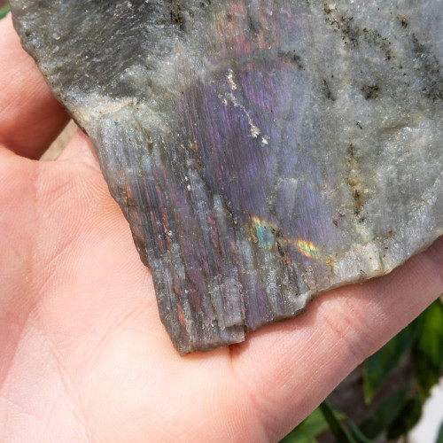 Purple Labradorite Half Polished #13