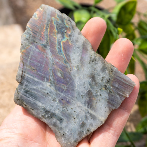 Purple Labradorite Half Polished #13