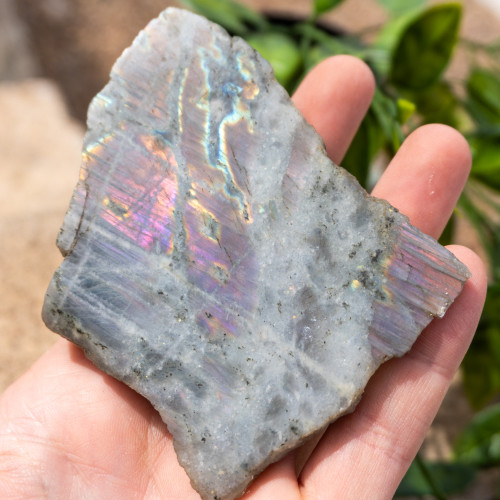 Purple Labradorite Half Polished #13