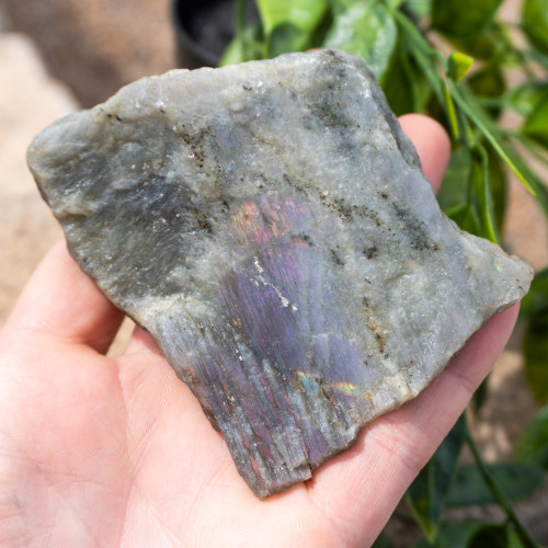 Purple Labradorite Half Polished #13