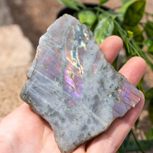 Purple Labradorite Half Polished #13