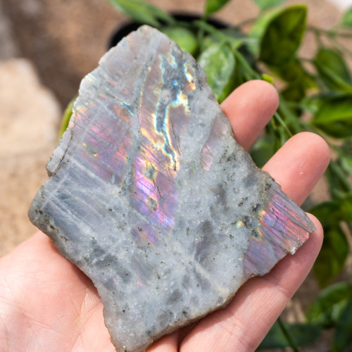 Purple Labradorite Half Polished #13