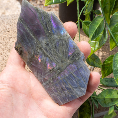 Purple Labradorite Half Polished #12