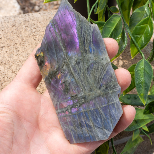 Purple Labradorite Half Polished #12