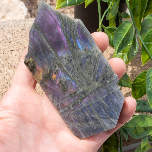 Purple Labradorite Half Polished #12