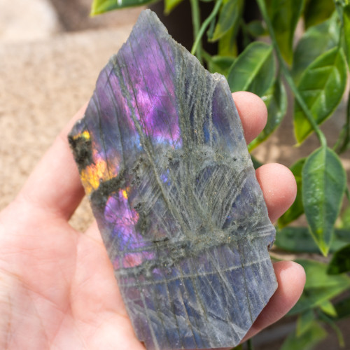 Purple Labradorite Half Polished #12