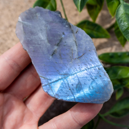 Purple Labradorite Half Polished #10