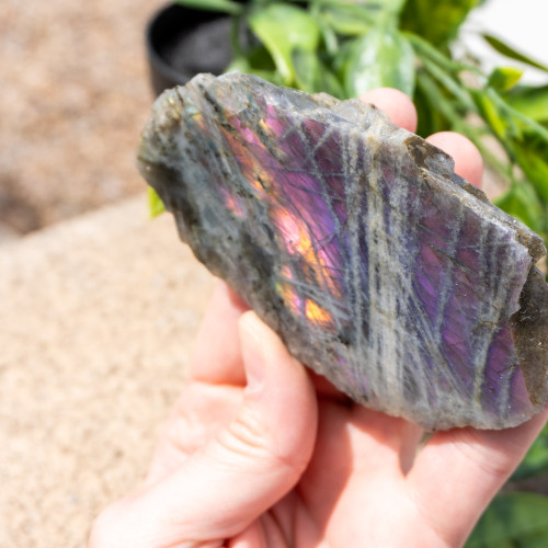 Purple Labradorite Half Polished #11