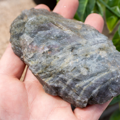 Purple Labradorite Half Polished #11