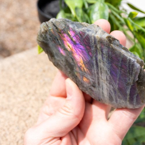 Purple Labradorite Half Polished #11