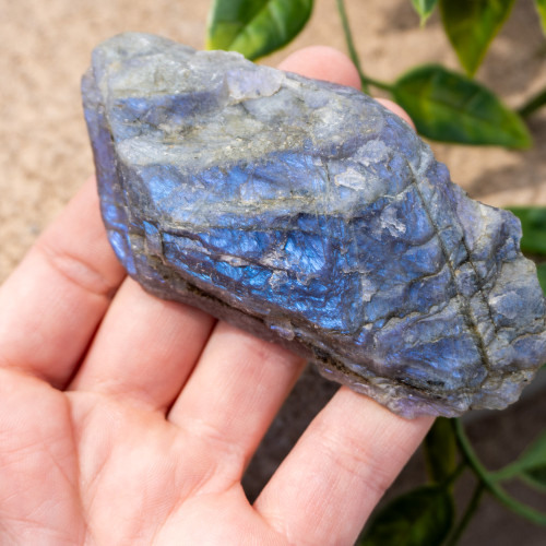 Purple Labradorite Half Polished #10