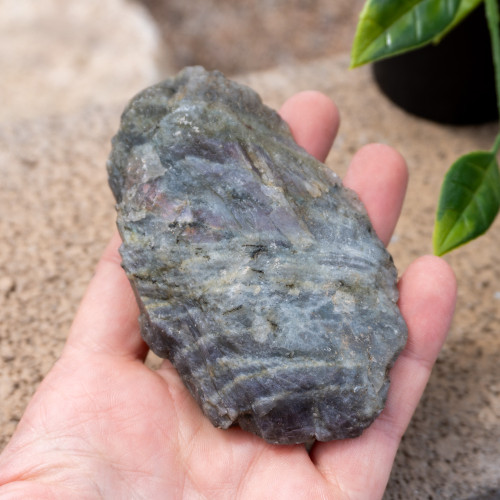 Purple Labradorite Half Polished #11