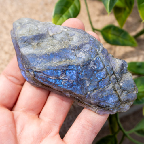 Purple Labradorite Half Polished #10