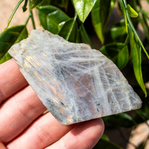 Purple Labradorite Half Polished #8