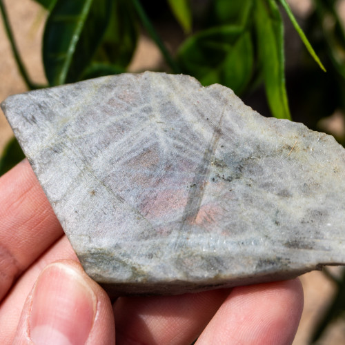 Purple Labradorite Half Polished #8