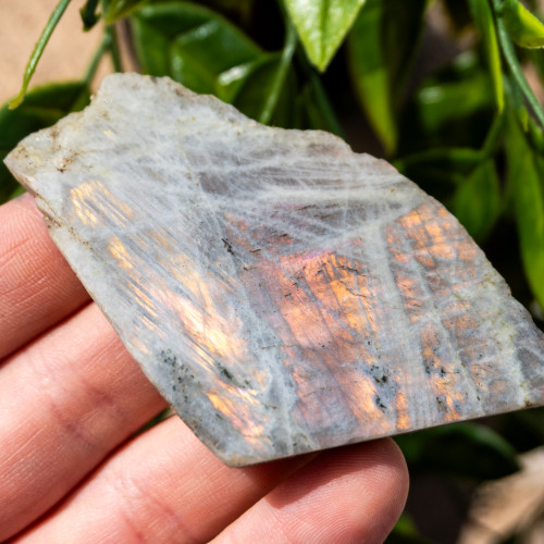 Purple Labradorite Half Polished #8