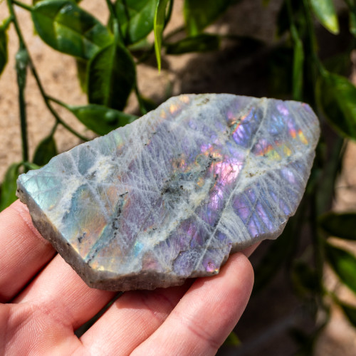 Purple Labradorite Half Polished #7