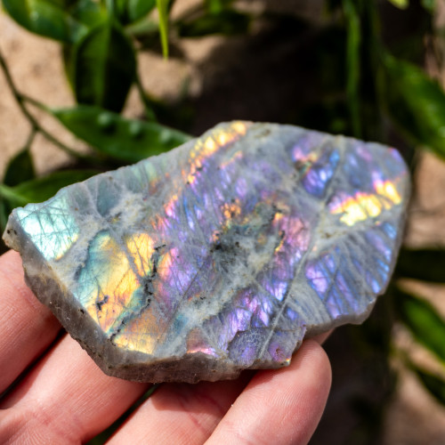Purple Labradorite Half Polished #7