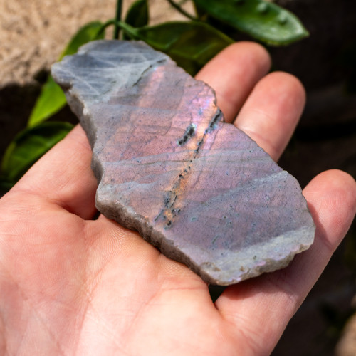 Purple Labradorite Half Polished #6