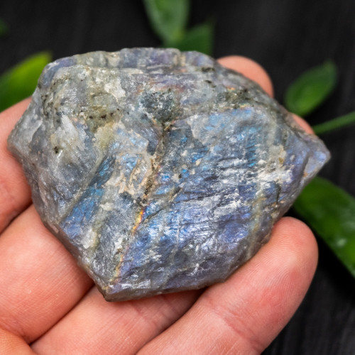 Purple Labradorite Half Polished #4