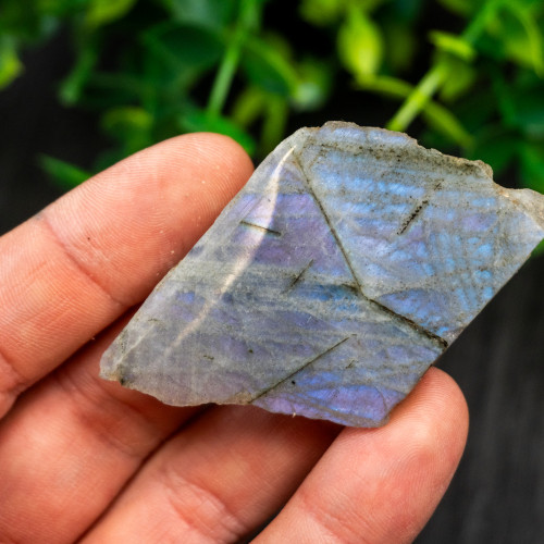 Purple Labradorite Half Polished #2