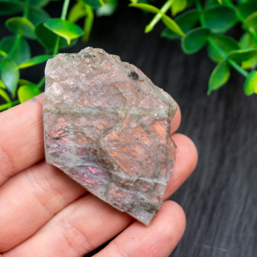 Purple Labradorite Half Polished #1